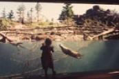 wpzotter