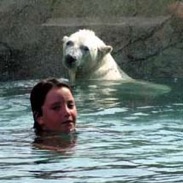 swimbearsq