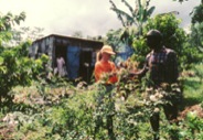 bz-200-farmer