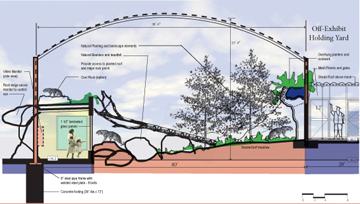 mgz-Sn Leopard-cross section for web_edited-1