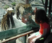 girl_and_jaguar